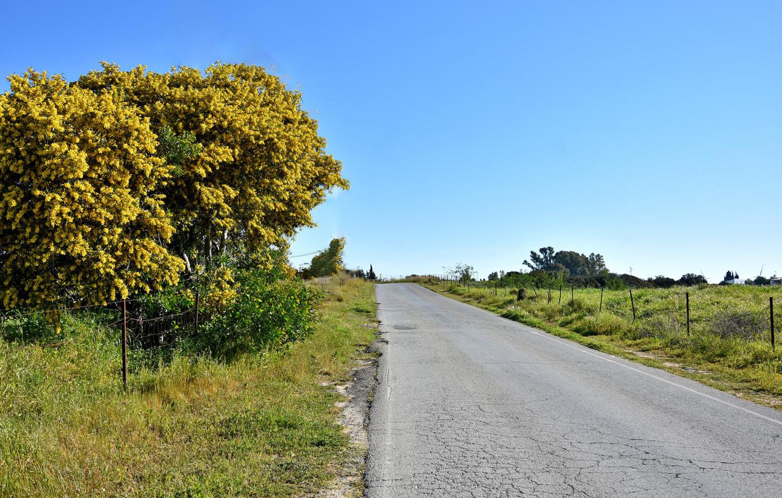 ruta_sendero_chiclana_4_2