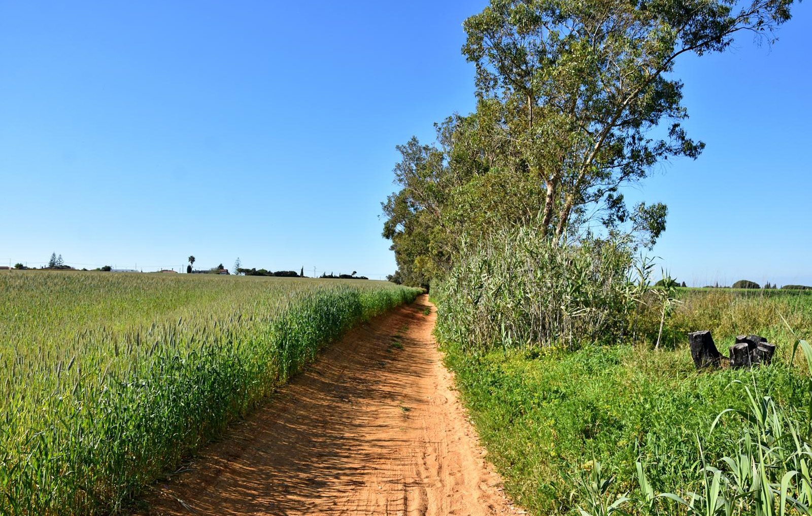 ruta_sendero_chiclana_i