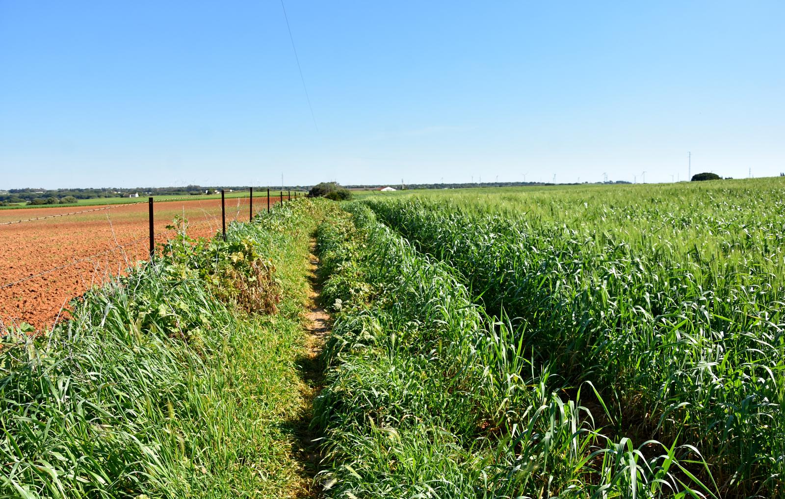 sendero_chiclana