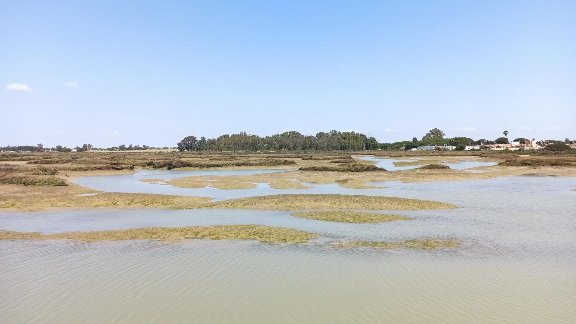 Salinas de Carboneros